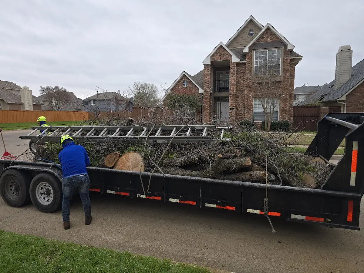 Expert Lot Clearing with proper safety equipment in Chaparral